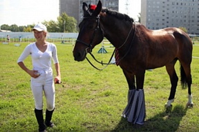 В Екатеринбурге выбрали самую красивую лошадь 