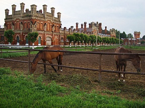 Старожиловский конный завод